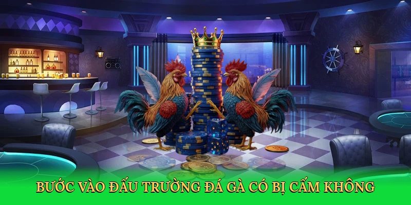 buoc-vao-dau-truong-da-ga-co-bi-cam-khong-2
