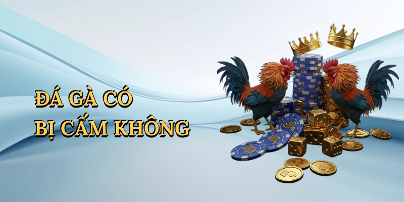 da-ga-co-bi-cam-khong-1