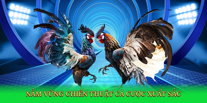 nam-vung-chien-thuat-ca-cuoc-xuat-sac-4
