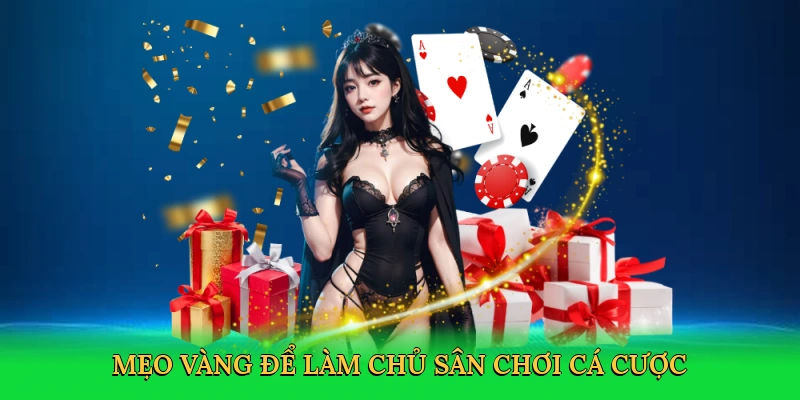 Mẹo vàng để làm chủ sân chơi cá cược