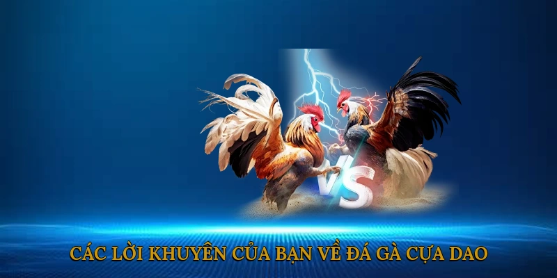 Các Lời Khuyên Của Bạn Về Đá Gà Cựa Dao Campuchia