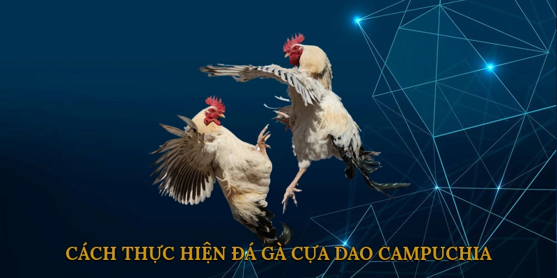 Cách Thực Hiện Đá Gà Cựa Dao Campuchia
