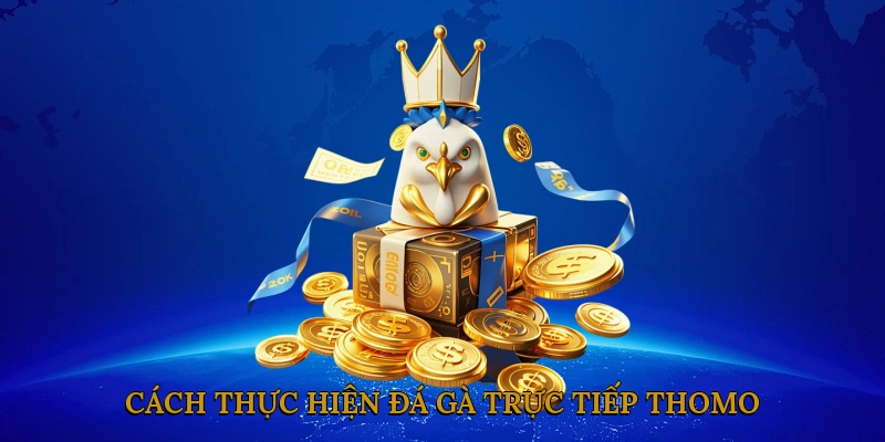 Cách Thực Hiện Đá Gà Trực Tiếp Thomo