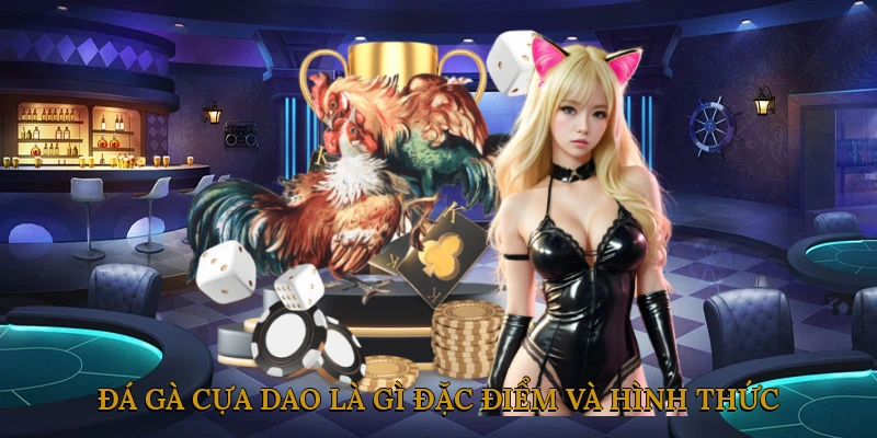 Đá gà cựa dao là gì? Đặc điểm và hình thức thi đấu