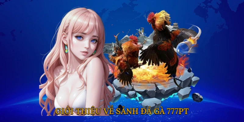 Giới thiệu về sảnh đá gà 777PT