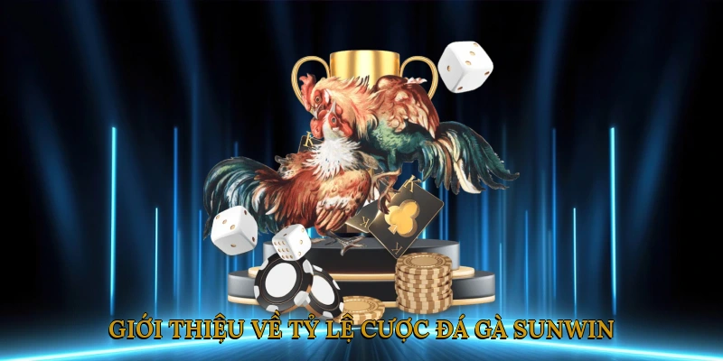 Giới thiệu về tỷ lệ cược đá gà SUNWIN
