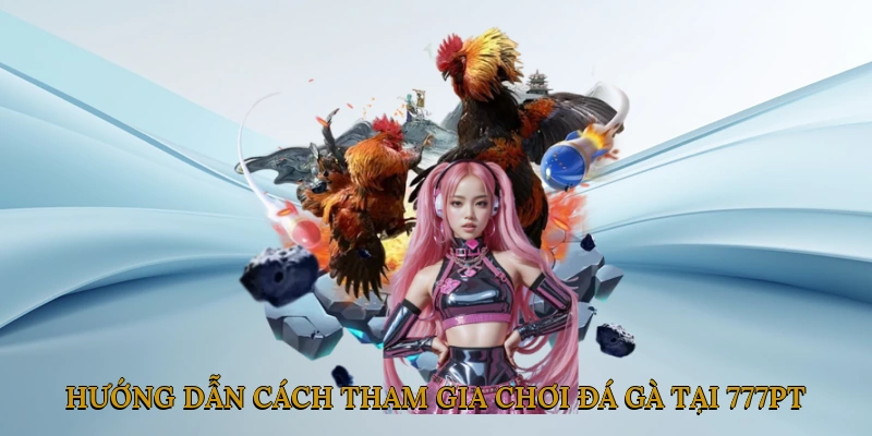 Hướng dẫn cách tham gia chơi đá gà tại 777PT