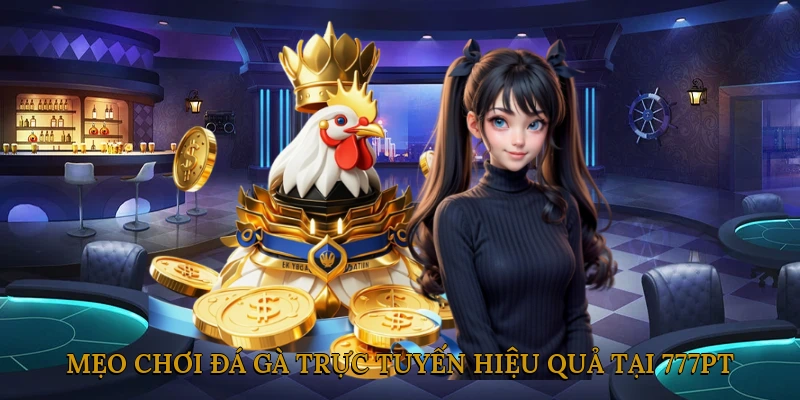 Mẹo chơi đá gà trực tuyến hiệu quả tại 777PT