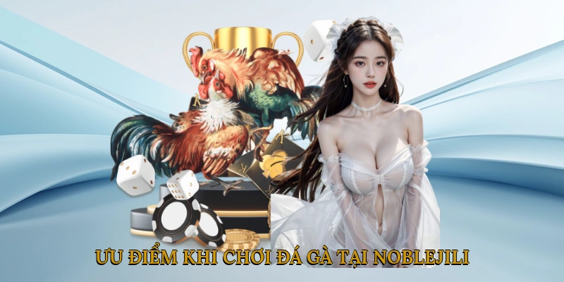 Ưu điểm khi chơi đá gà tại NOBLEJILI