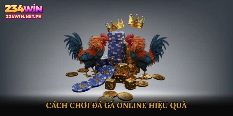 Cách Chơi Đá Gà Online Hiệu Quả