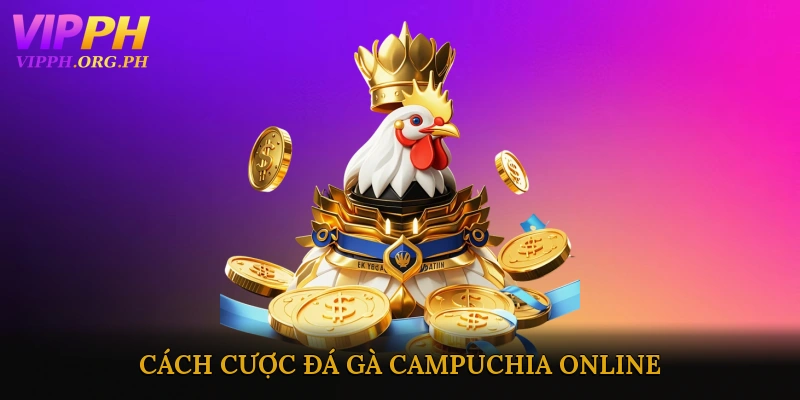 Cách Cược Đá Gà Campuchia Online