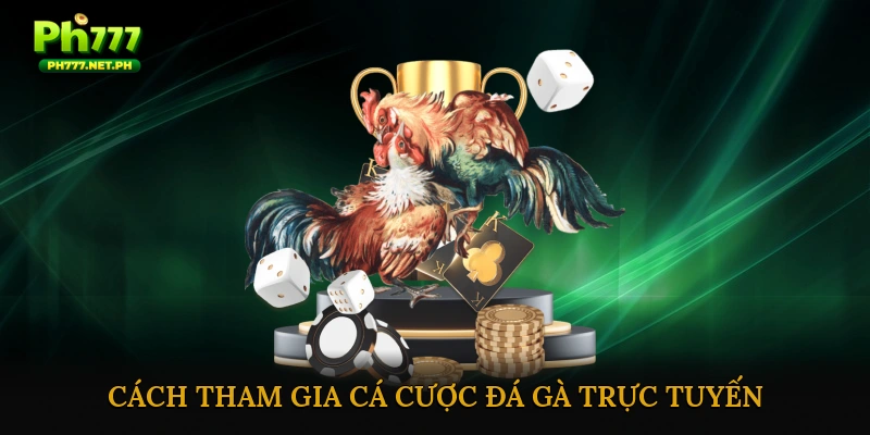 Cách tham gia cá cược đá gà trực tuyến
