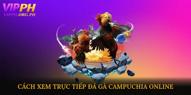 Cách Xem Trực Tiếp Đá Gà Campuchia Online