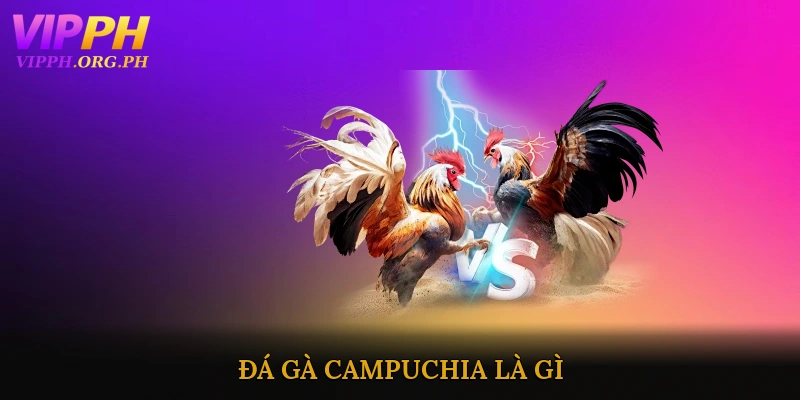 Đá Gà Campuchia Là Gì?