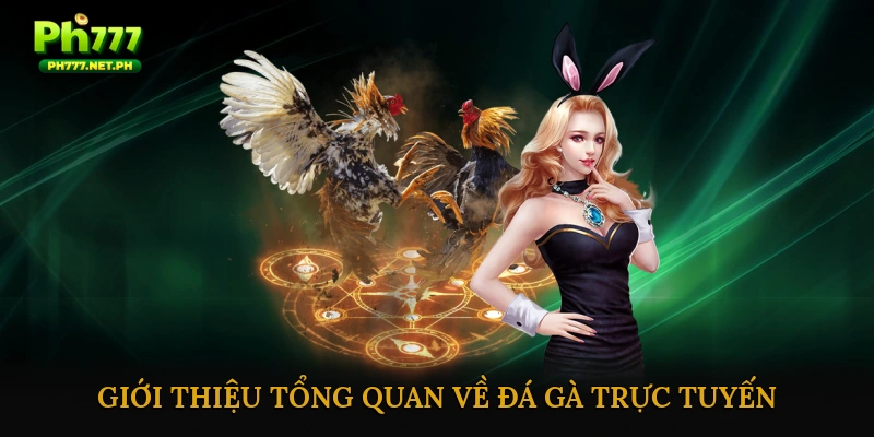 Giới thiệu tổng quan về đá gà trực tuyến