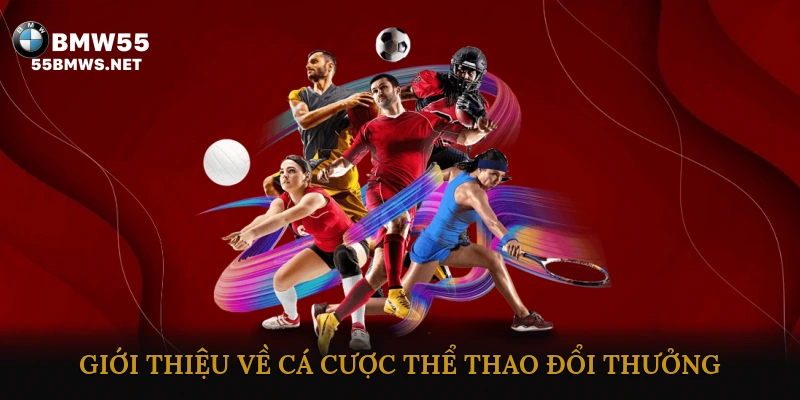 Giới thiệu tổng quan về cá cược thể thao đổi thưởng