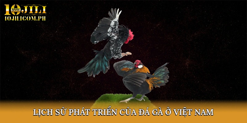 Lịch Sử Phát Triển Của Đá Gà Ở Việt Nam