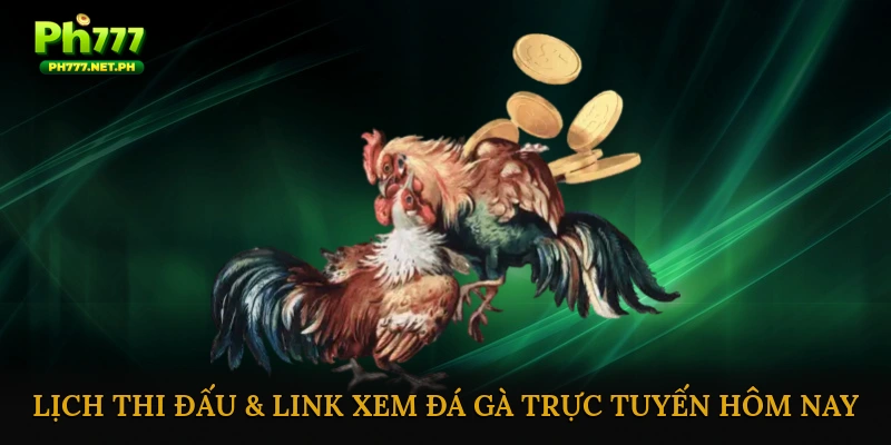 Lịch thi đấu & link xem đá gà trực tuyến hôm nay