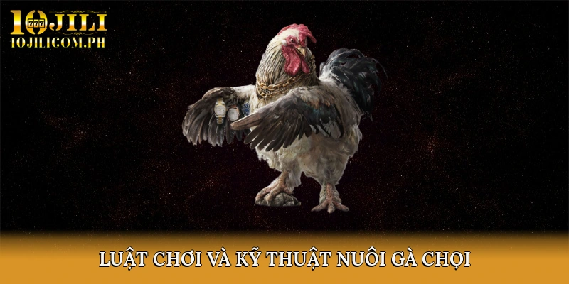 Luật Chơi và Kỹ Thuật Nuôi Gà Chọi