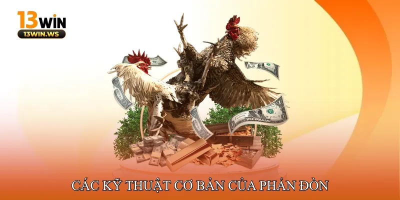 Các Kỹ Thuật Cơ Bản Của Phản Đòn