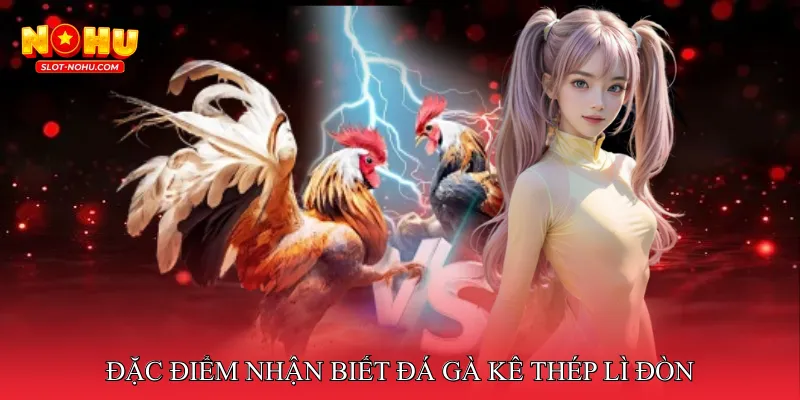 Đặc điểm nhận biết đá gà kê thép lì đòn