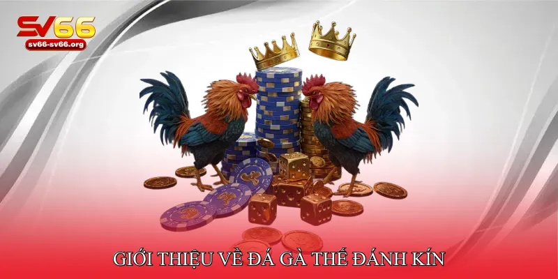Giới thiệu về đá gà thế đánh kín