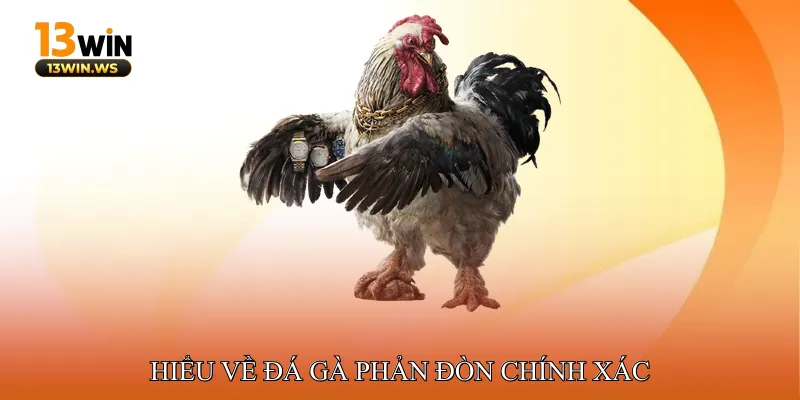 Hiểu về Đá Gà Phản Đòn Chính Xác