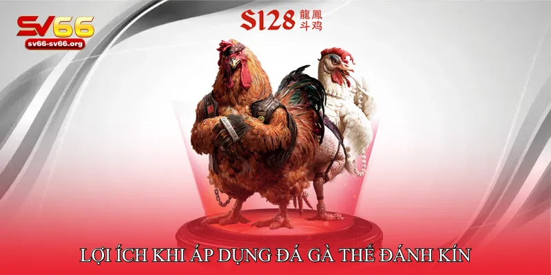 Lợi ích khi áp dụng đá gà thế đánh kín