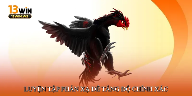 Luyện Tập Phản Xạ Để Tăng Độ Chính Xác