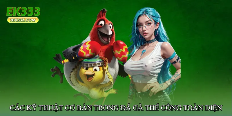Các kỹ thuật cơ bản trong Đá gà thế công toàn diện