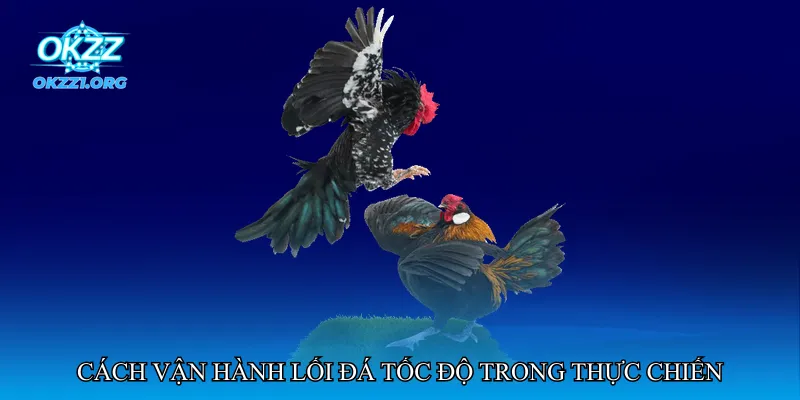 Cách vận hành lối đá tốc độ trong thực chiến