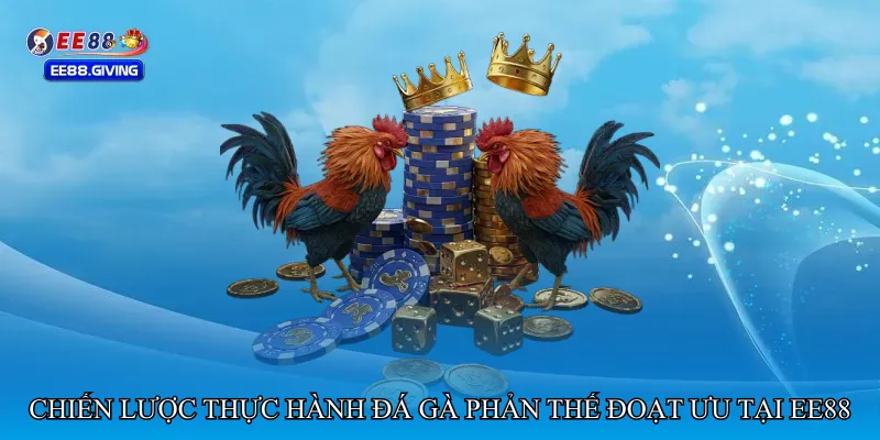 Chiến lược thực hành Đá gà phản thế đoạt ưu tại EE88