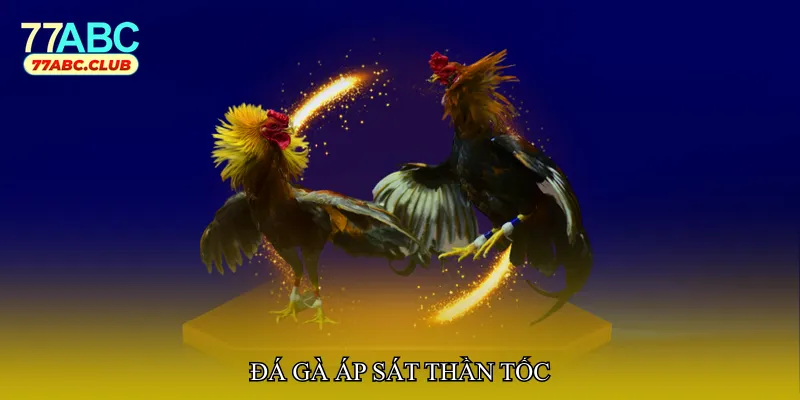 Đá gà áp sát thần tốc