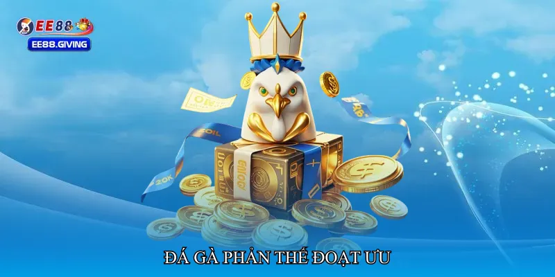 Đá gà phản thế đoạt ưu