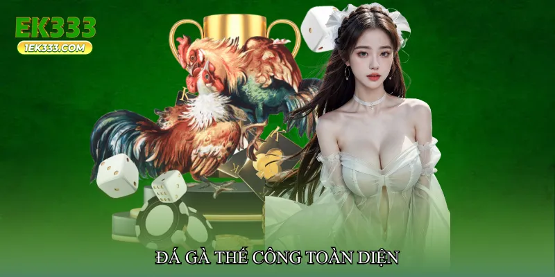 Đá gà thế công toàn diện