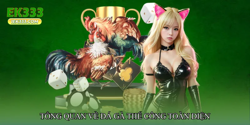 Tổng quan về Đá gà thế công toàn diện